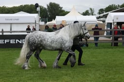 W29_0920 2026