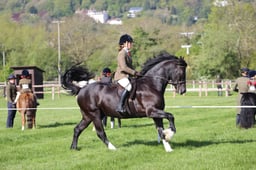 C19_0472 2026
