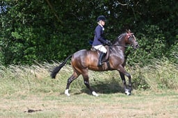 S60_0438 2026