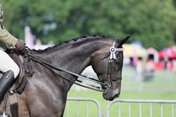 C34_0599 2026