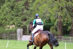 429 FERRO GRACE