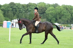 H36_9200 2026