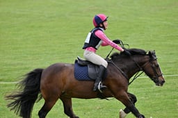 D35_0647 2026