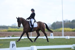 173 JELSON