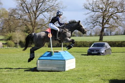 D13_1182 2026