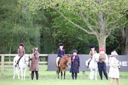 CL 14B Senior Pony