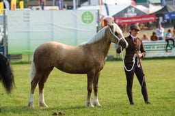 E69_0700 2026