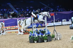 Pony Newcomers Championship