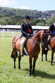 E42_2643 2026