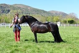 S19_8075 2026