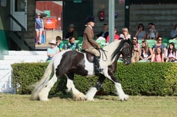 S61_0427 2026