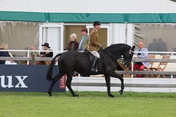 S30_3216 2026