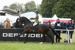 E30_3374 2026
