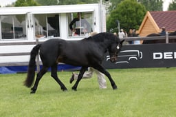 W29_0765 2026