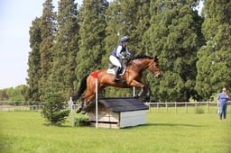 115 KILCORIG VITALITY