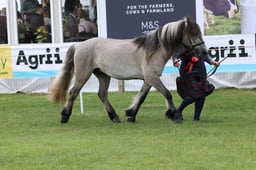 M44_0966 2026