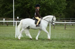 E30_4400 2026