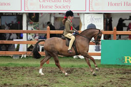 151-148 Show Hunter Pony Championship