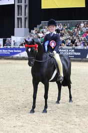 Show Pony First Ridden of the Year