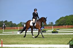 B21_5945 2026