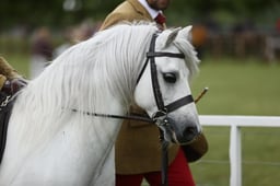 E30_3560 2026