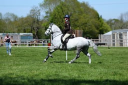M19_0610 2026