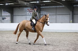 THE FREEDMAN FAMILY AMATEUR SUPREME CHAMPIONSHIP