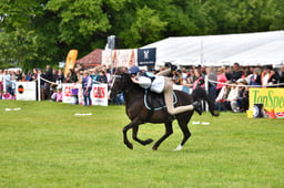 R39_1683 2026