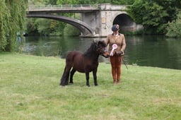 L29_0252 2026