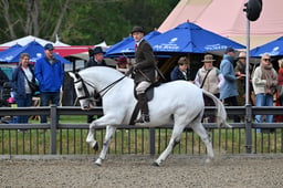 A29_1054 2026