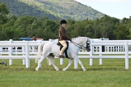 H12 HOYS Ridden Welsh A