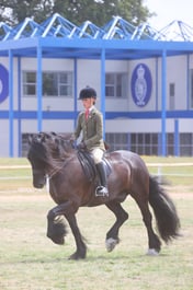 101E M&M Ridden Dales