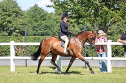 Z42_4373 2026