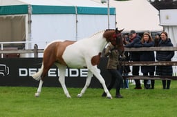 S28_9633 2026