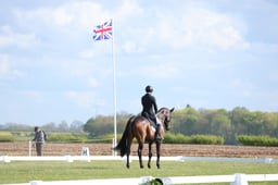 185 COOMBELAND TALISMAN