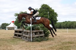 C56_0954 2026