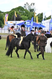 D46_2270 2026