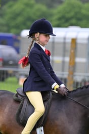 67 Mixed Height Novice Show Pony