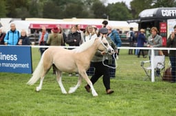E29_0493 2026