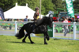 W33_0864 2026