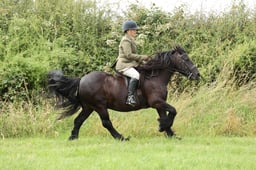 098 M&M Ridden Fells & Dales