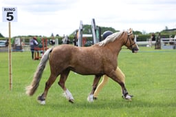 J36_5910 2026