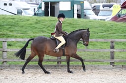 CL87 RIHS Ridden PBA Pony