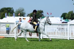 F33_0593 2026
