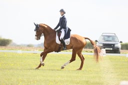 B15_0780 2026