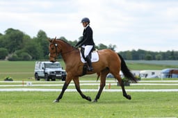 B20_3754 2026