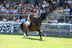 C68_2935 2026