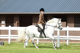 Z41_0040 2026