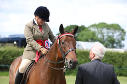 W36_1156 2026