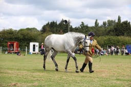 W36_1146 2026